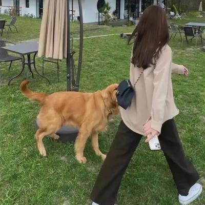 埃默里维尔实验