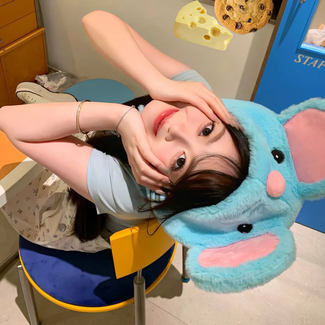 豆豆猫
