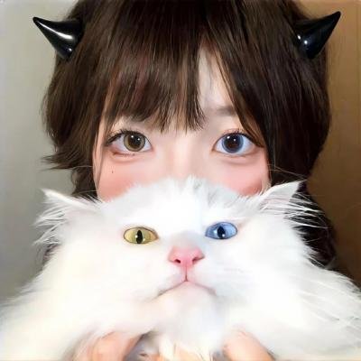 纽约爱未眠